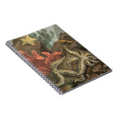 Onder het Zee Notitieboek (Rechterzijde)