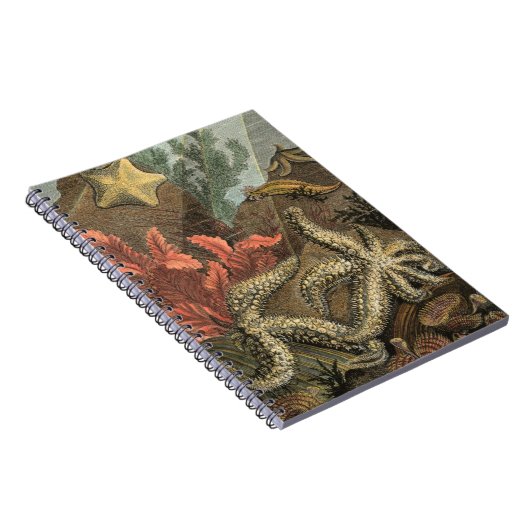 Onder het Zee Notitieboek (Rechterzijde)