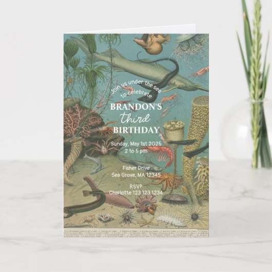 Onder het Zee Ocean Zee Animal retro Birthday (Voorkant)