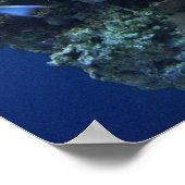 Onder het Zee Poster (Hoek)