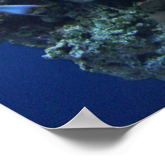 Onder het Zee Poster (Hoek)