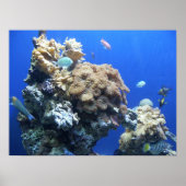 Onder het Zee Poster (Voorkant)