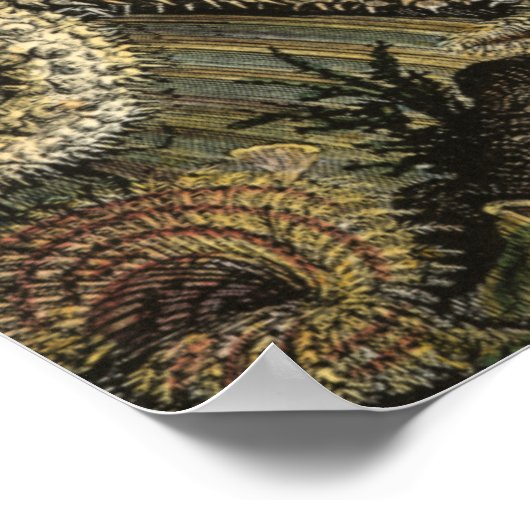 Onder het Zee Poster (Hoek)