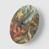 Onder het Zee Ronde Klok (Hoek)