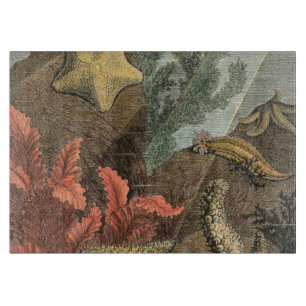 Onder het Zee Snijplank