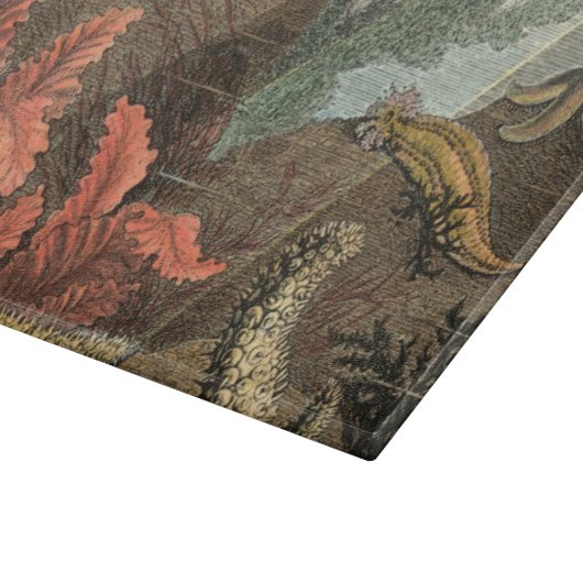 Onder het Zee Snijplank (Hoek)