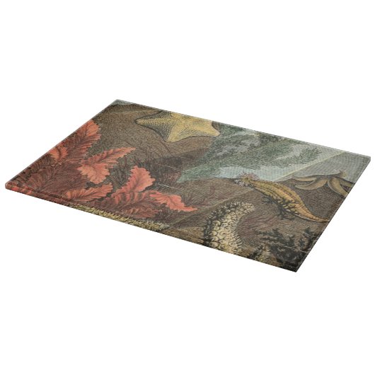 Onder het Zee Snijplank (Hoek)