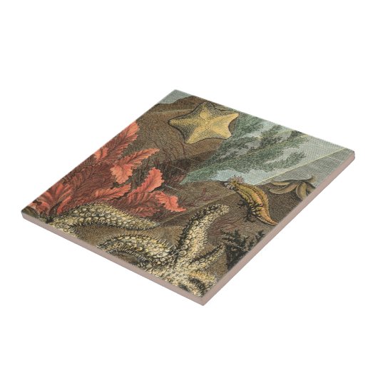 Onder het Zee Tegeltje (Zijkant)