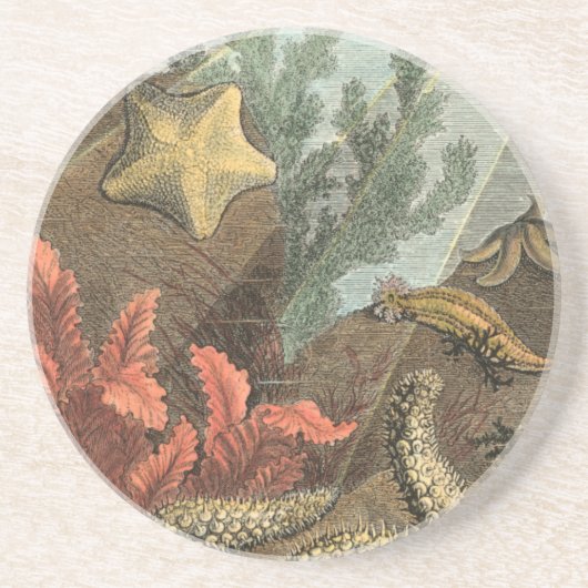 Onder het Zee Zandsteen Onderzetter (Voorkant)