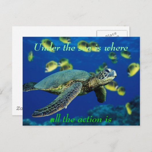 Onder het zee - Zee schildpad Briefkaart (Voorkant / Achterkant)
