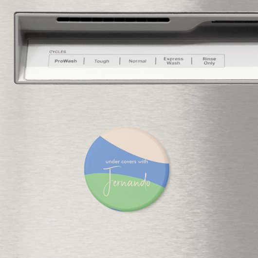 Onder Hoesjes met Fernando Magnet (Insitu (Vaatwasser))