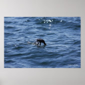 Onder Poster (Voorkant)