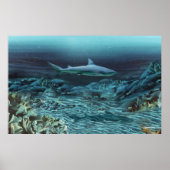 Onder water 1 poster (Voorkant)