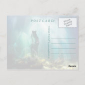 Onder water - Briefkaart (Achterkant)