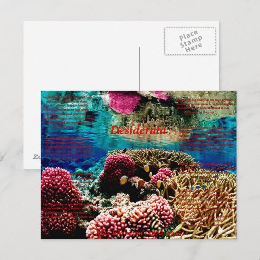 Onder water briefkaart (Voorkant / Achterkant)