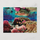 Onder water briefkaart (Voorkant)