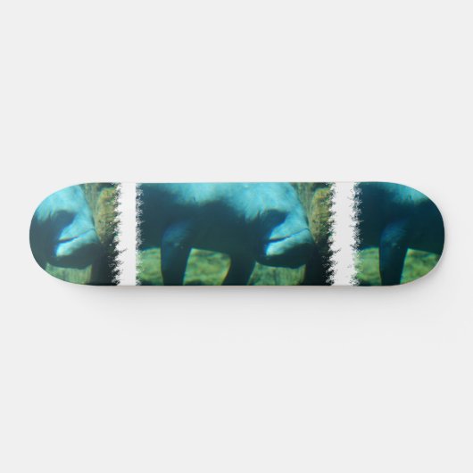 Onder water Manateboard Skateboard (Horizontaal)