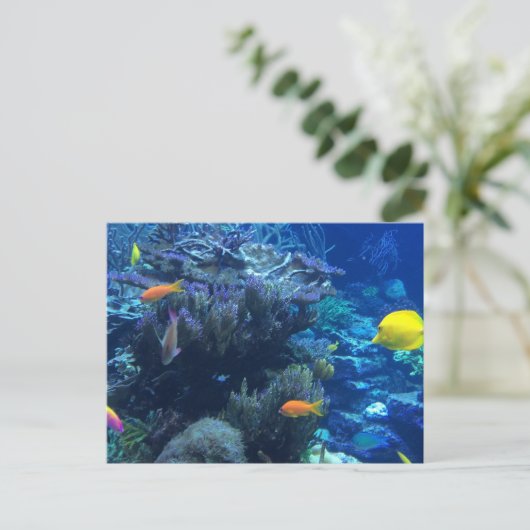 Onder water Ocean World en Summer Story Briefkaart (Staand voorkant)