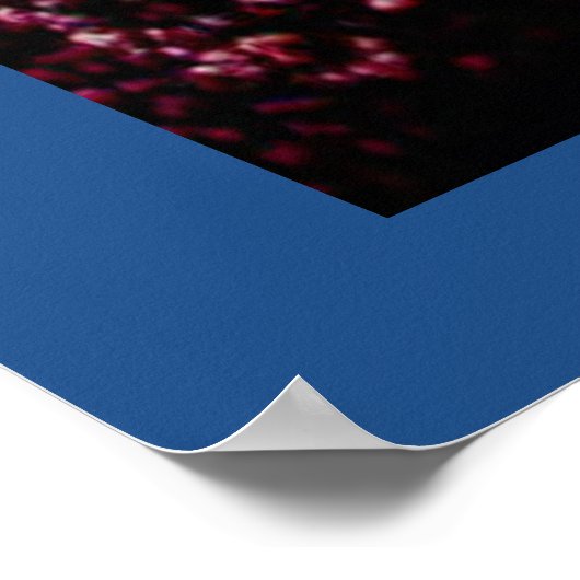 Onder water poster (Hoek)