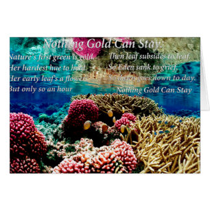 Onder water zee koraal en twee gekloonde vissen