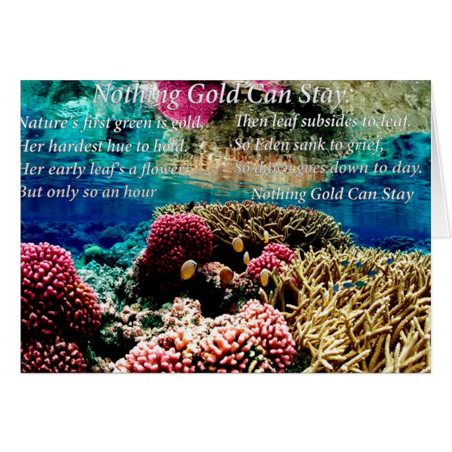 Onder water zee koraal en twee gekloonde vissen (Voorkant Horizontaal)