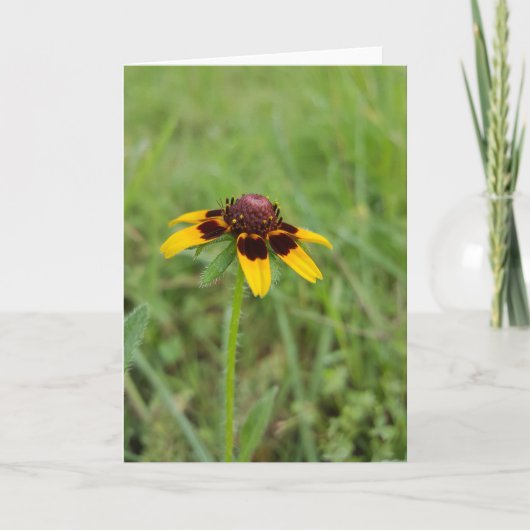 Onder Wildflowers Notecards (Spatie binnen) Kaart (Voorkant)