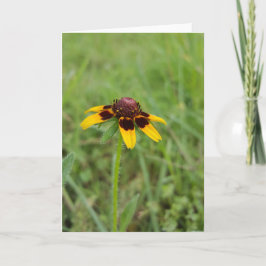 Onder Wildflowers Notecards (Spatie binnen) Kaart