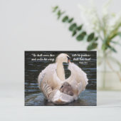 Onder Zijn Wings-zwaan met cygnet-Briefkaart Briefkaart (Staand voorkant)