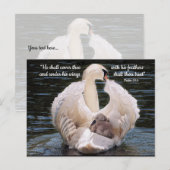 Onder Zijn Wings-zwaan met cygnet-Briefkaart Briefkaart (Voorkant / Achterkant)