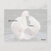 Onder Zijn Wings-zwaan met cygnet-Briefkaart Briefkaart (Achterkant)