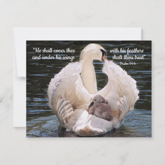 Onder Zijn Wings-zwaan met een cygnet-kaart Kaart (Voorkant)