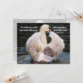 Onder Zijn Wings-zwaan met een cygnet-kaart Kaart (Voorkant / Achterkant in situ)