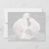 Onder Zijn Wings-zwaan met een cygnet-kaart Kaart (Achterkant)