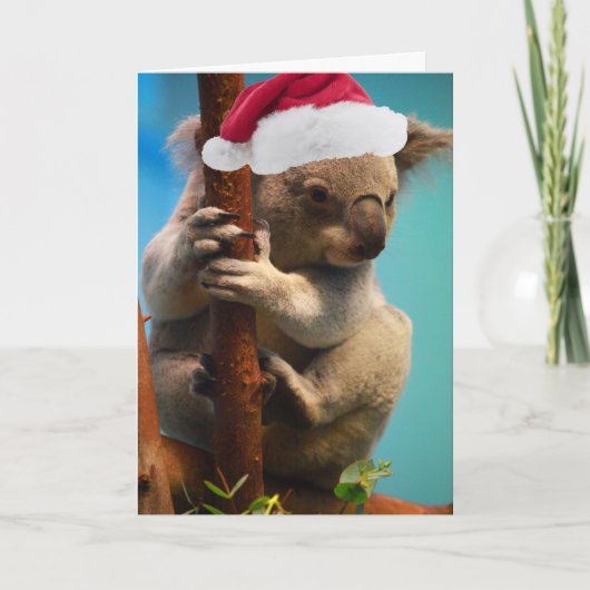 Onderaan de OnderKoala van Kerstmis Feestdagen Kaart (Voorkant)