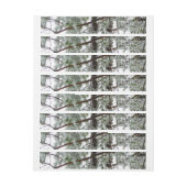 Onderaan de sneeuwbedekte pijnboom Winter Foto (Vel)