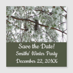 Onderaan de sneeuwbedekte pijnboom Winter Foto