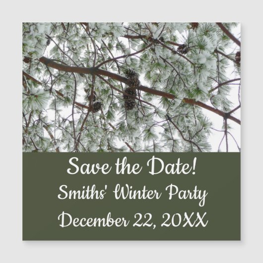 Onderaan de sneeuwbedekte pijnboom Winter Foto (Voorkant)