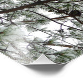 Onderaan de sneeuwbedekte pijnboom Winter Foto Afdruk (Hoek)