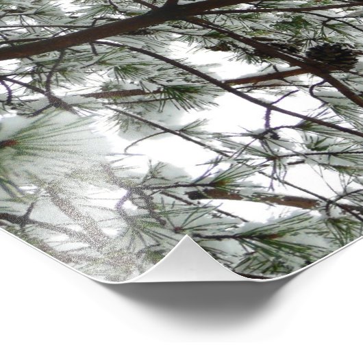 Onderaan de sneeuwbedekte pijnboom Winter Foto Afdruk (Hoek)