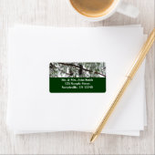 Onderaan de sneeuwbedekte pijnboom Winter Foto Etiket (Insitu)