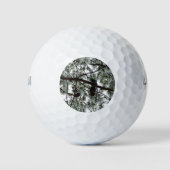 Onderaan de sneeuwbedekte pijnboom Winter Foto Golfballen (Voorkant)
