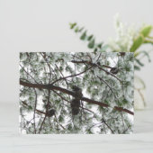 Onderaan de sneeuwbedekte pijnboom Winter Foto Kaart (Staand voorkant)