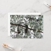 Onderaan de sneeuwbedekte pijnboom Winter Foto Kaart (Voorkant / Achterkant in situ)