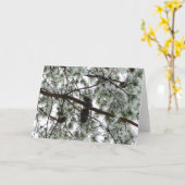 Onderaan de sneeuwbedekte pijnboom Winter Foto Kaart (Gele Bloem)