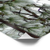 Onderaan de sneeuwbedekte pijnboom Winter Foto Perfect Poster (Hoek)