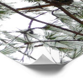 Onderaan de sneeuwbedekte pijnboom Winter Foto Poster (Hoek)