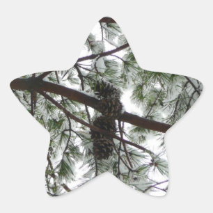 Onderaan de sneeuwbedekte pijnboom Winter Foto Ster Sticker