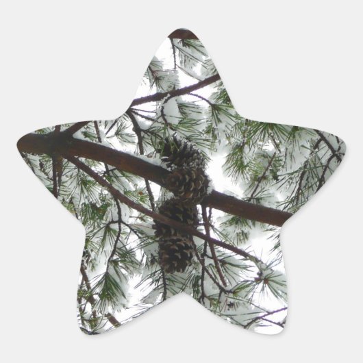 Onderaan de sneeuwbedekte pijnboom Winter Foto Ster Sticker (Voorkant)