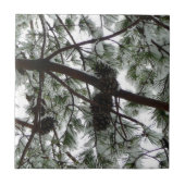 Onderaan de sneeuwbedekte pijnboom Winter Foto Tegeltje (Voorkant)