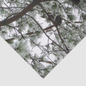 Onderaan de sneeuwbedekte pijnboom Winter Foto Tissuepapier (Detail)